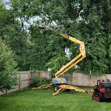 Best Lawn Watering Services  in Midland, PA